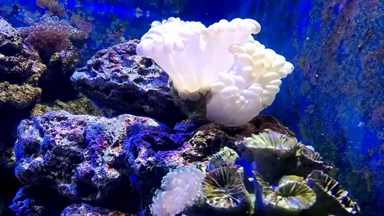 花蓮親子遊-海洋生態館